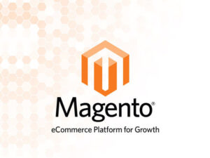 Magento expert