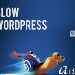 Why is my WordPress site slow?