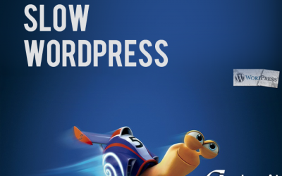 Why is my WordPress site slow?