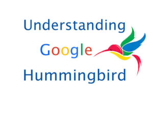 Effects of Google Hummingbird