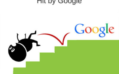 How do I know if my website is hit by Google bot?
