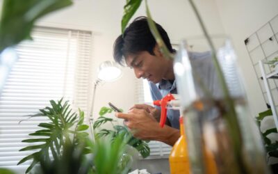 Hybrid App Development